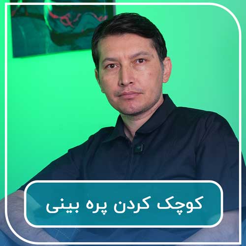کوچک کردن پره بینی